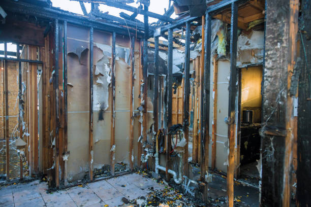 Professional Fire Damage Assessment technician working in Newberry, FL